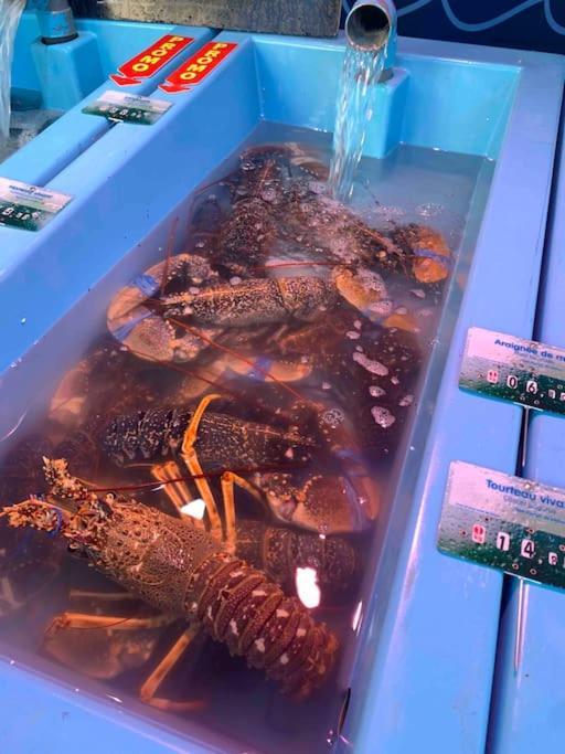 Вілла La Petite Bretonne Plounerin Екстер'єр фото
